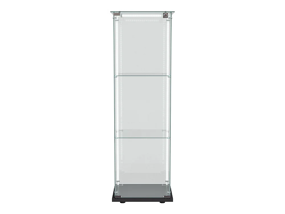 Plaque d'affichage transparente - 40 x 35 x 123 cm - Porte simple 3 couches avec éclairage LED - noir