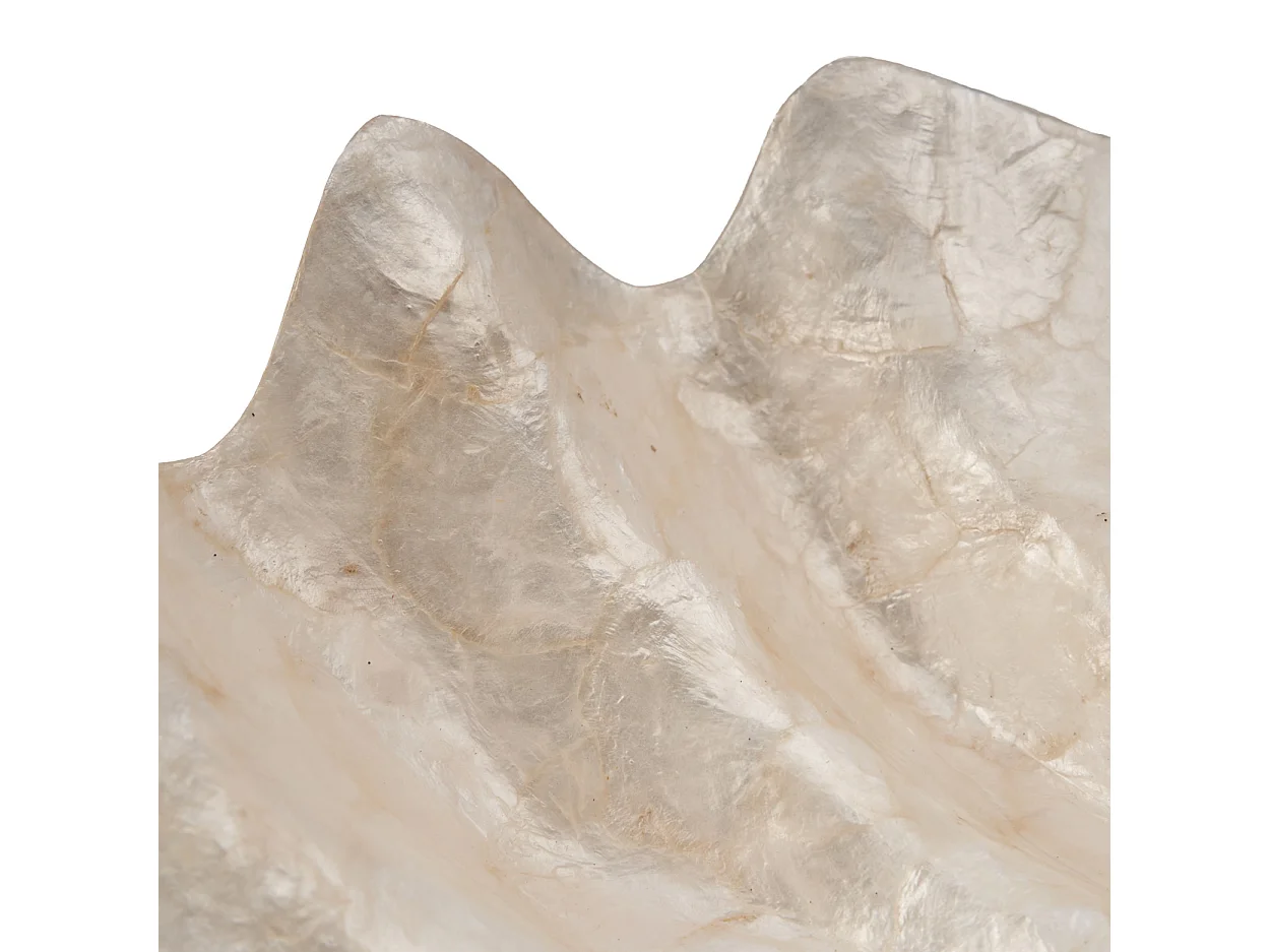 Le Porte-Savon Mother of Pearl - Blanc - M