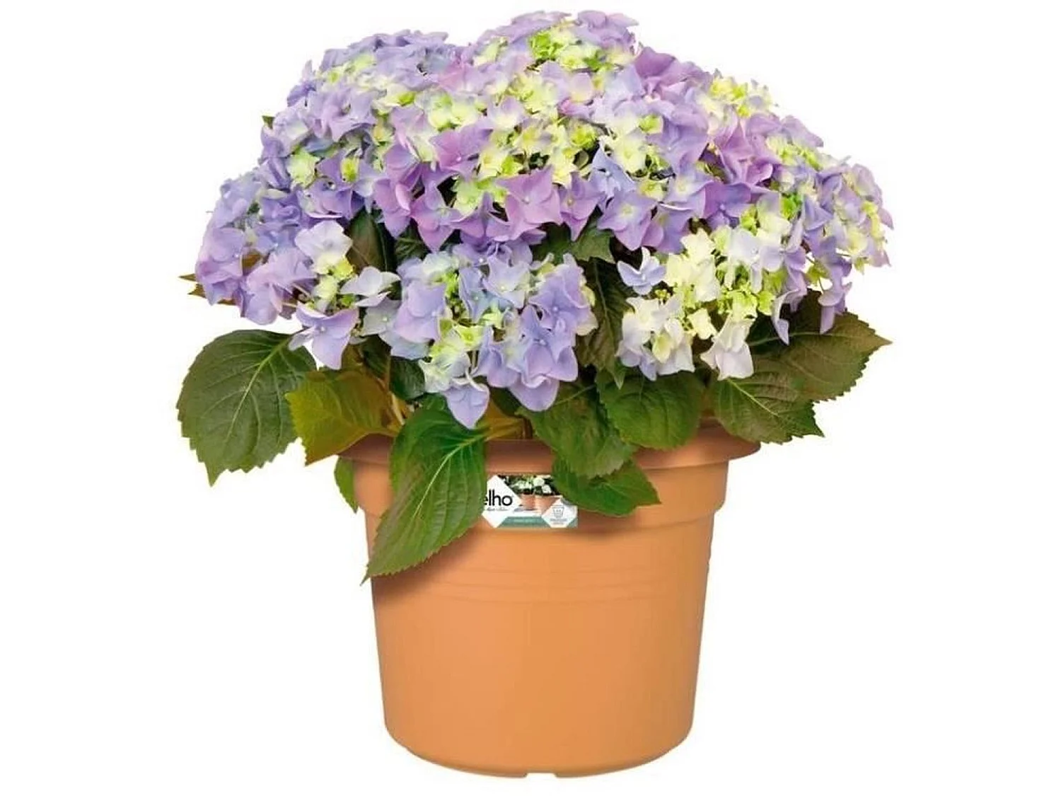 Cilindro 45 cm terra suave - ELHO