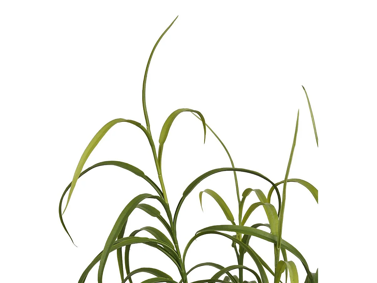 Dracaena décoratif artificiel hauteur 68cm - CAENA