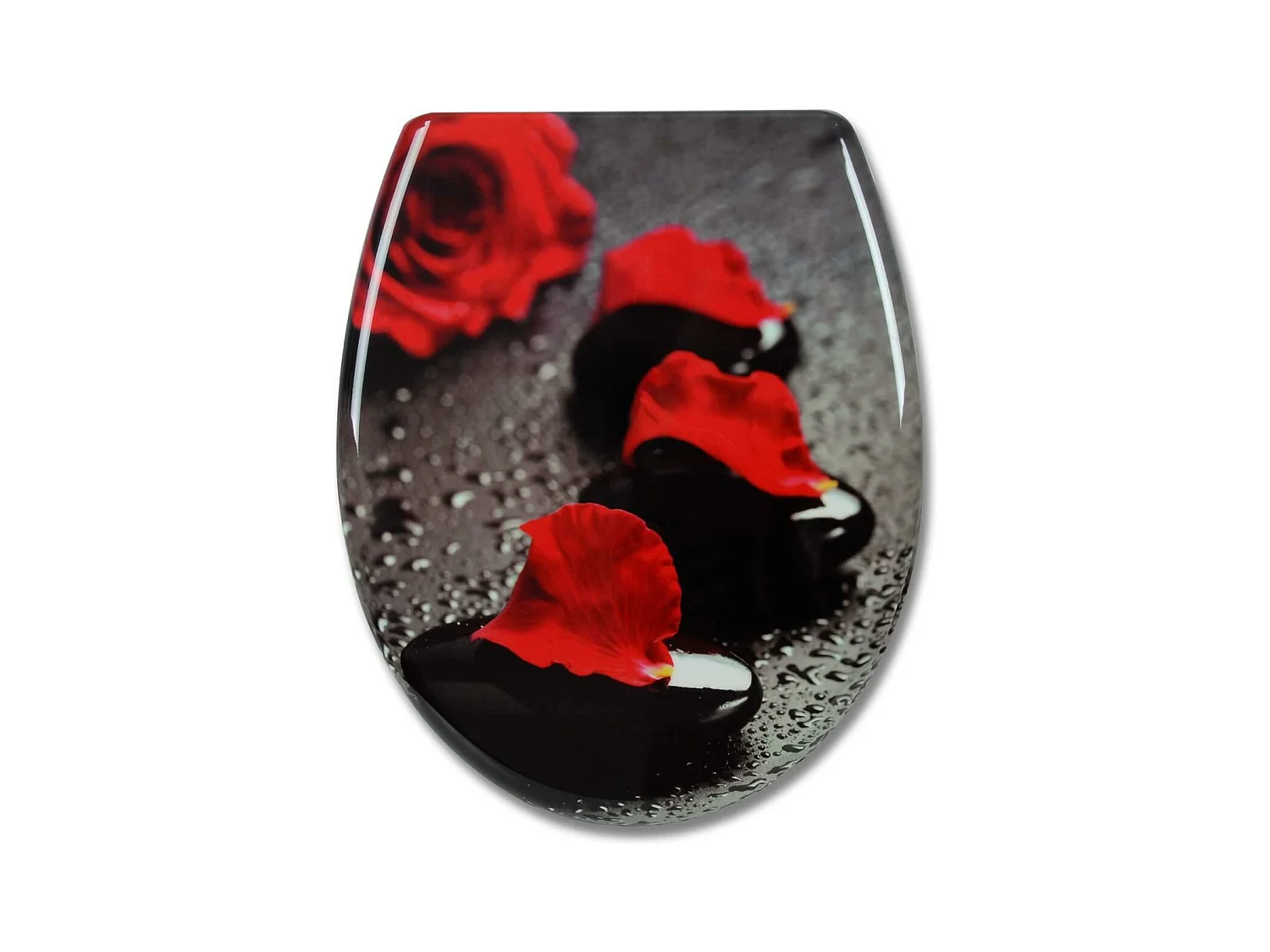 Abattant WC siège de 45.5 x 34 x 37.1 cm 19_0000691