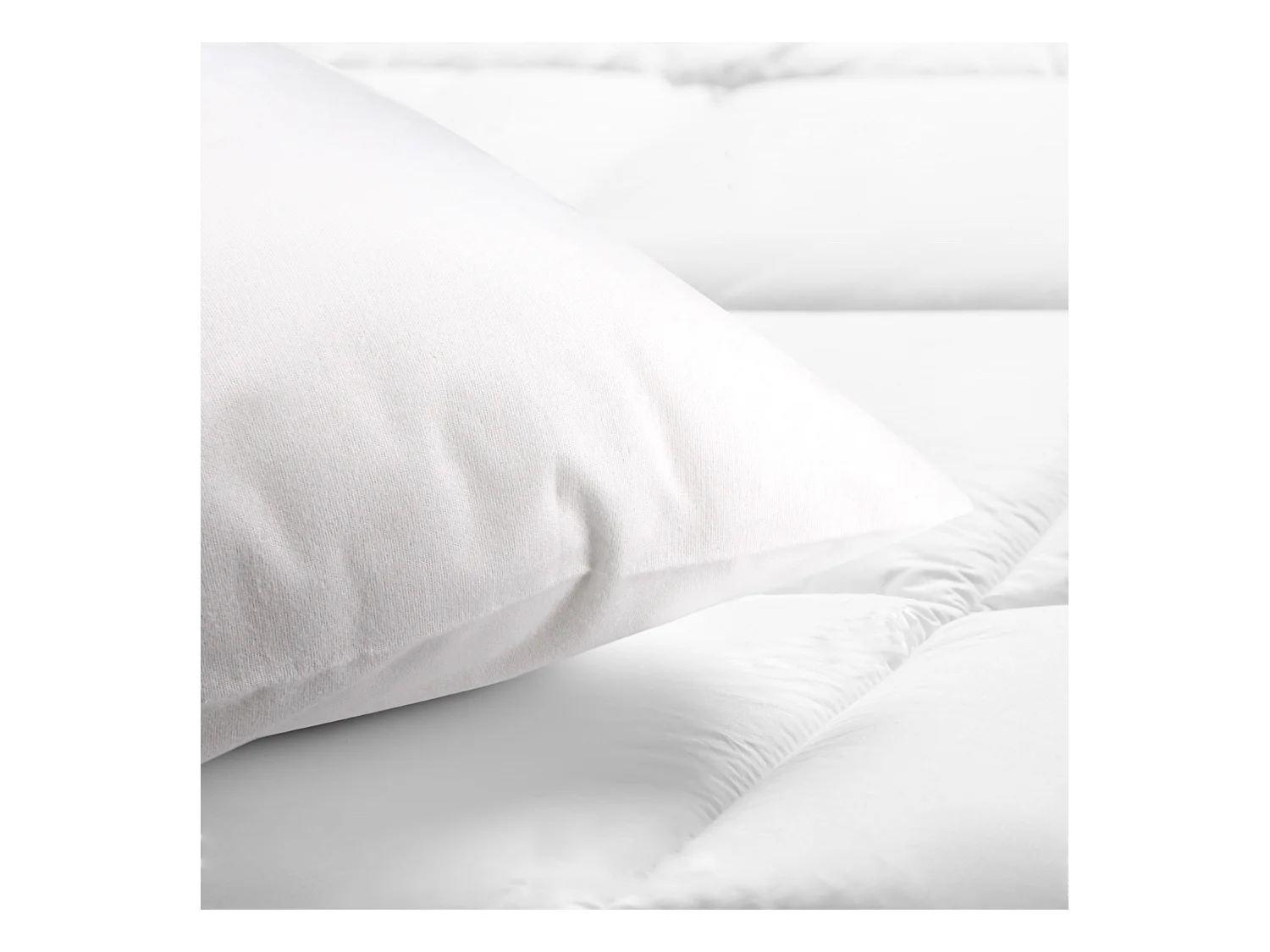 Housse de protection d'oreiller imperméable 60x60 cm ARNON molleton coton contrecollé polyuréthane