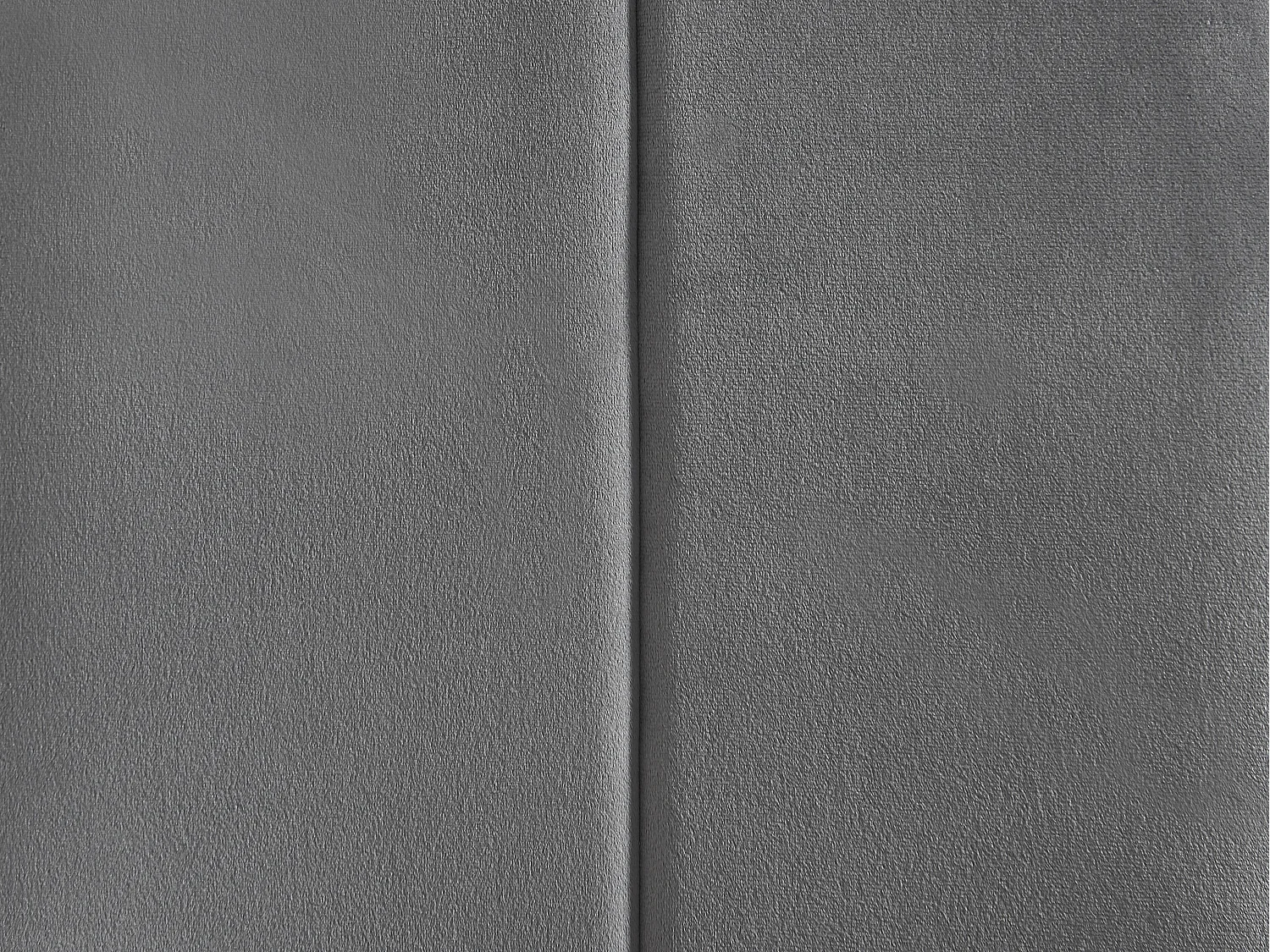 Lot de 2 chaises en velours et métal - Gris - BERLONA