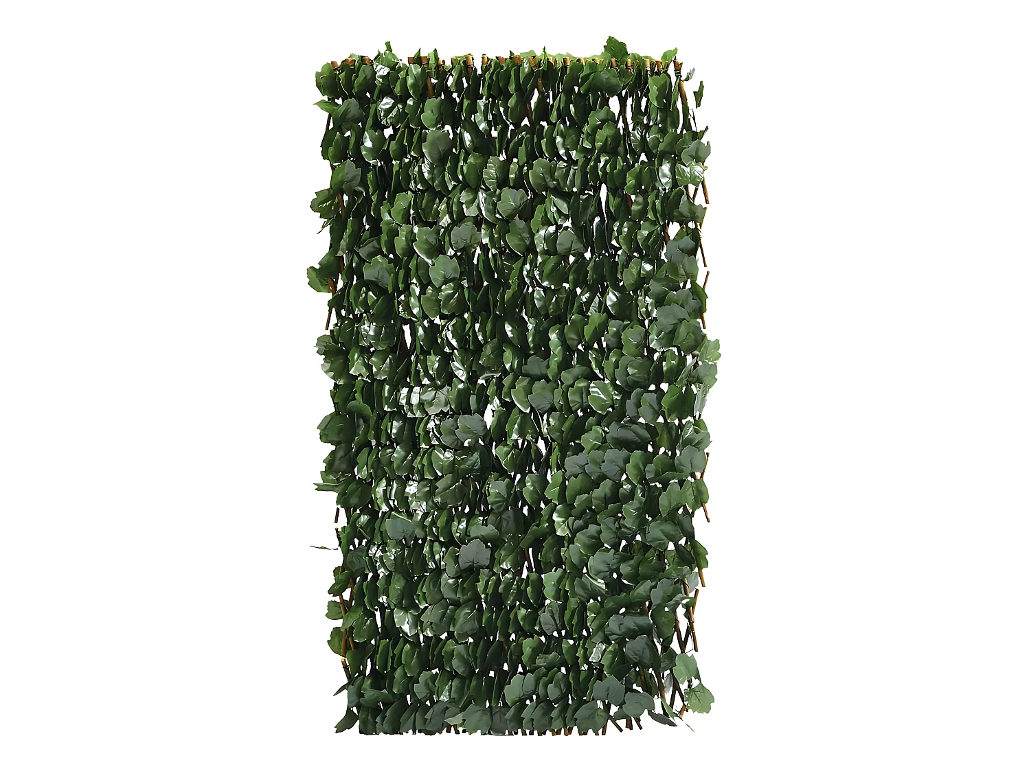 Clôture en treillis de saule "Fragon" - 200 x 100 cm - Vert