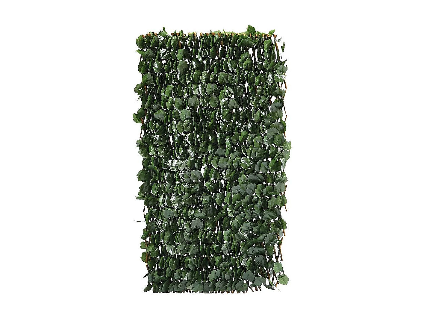 Weidenspalier-Zaun "Fragon" - 200 x 100 cm - Grün