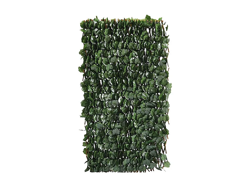 Clôture en treillis de saule "Fragon" - 200 x 100 cm - Vert