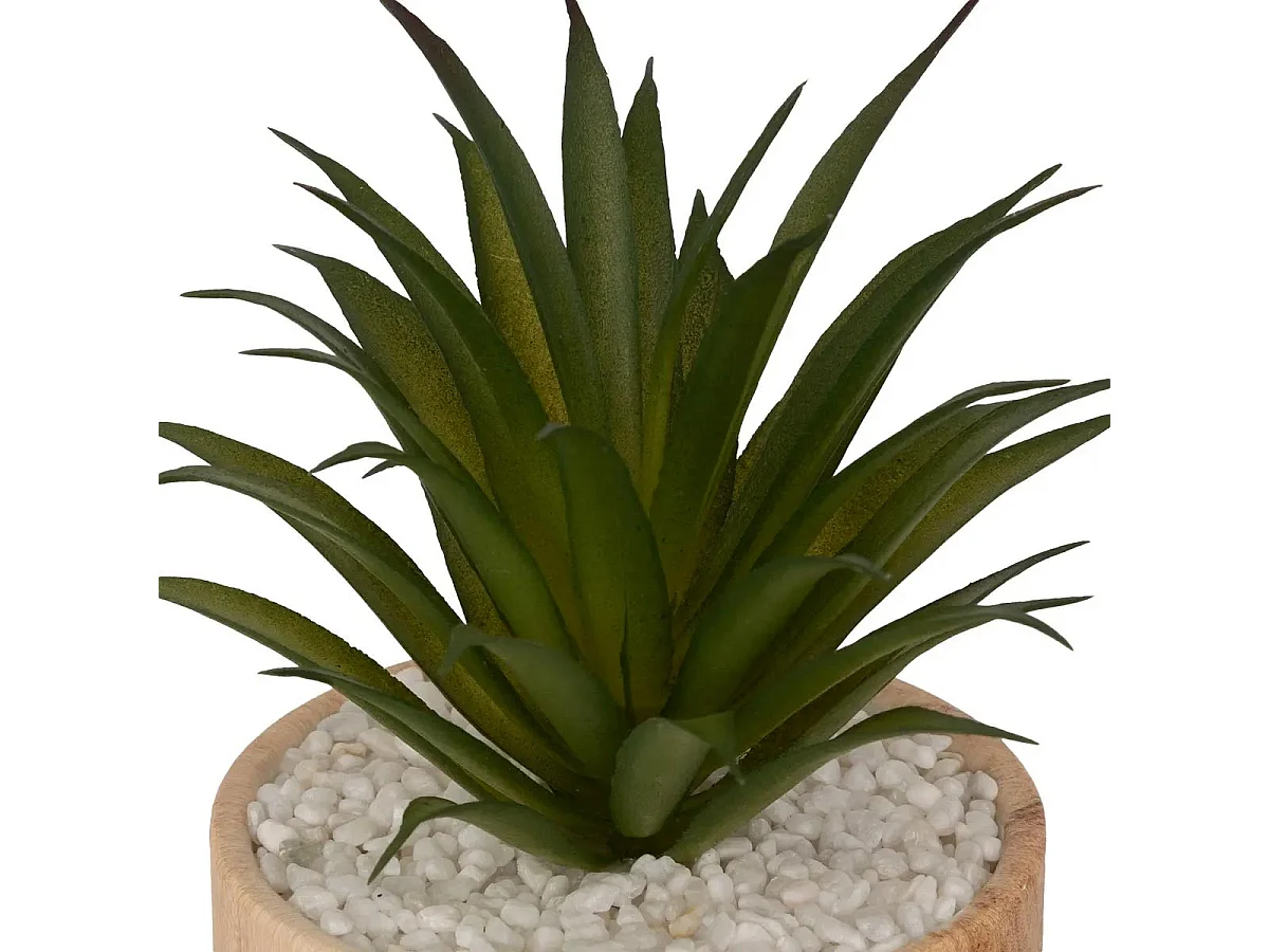 Plante Artificielle en Pot "Sao" 17cm Marron