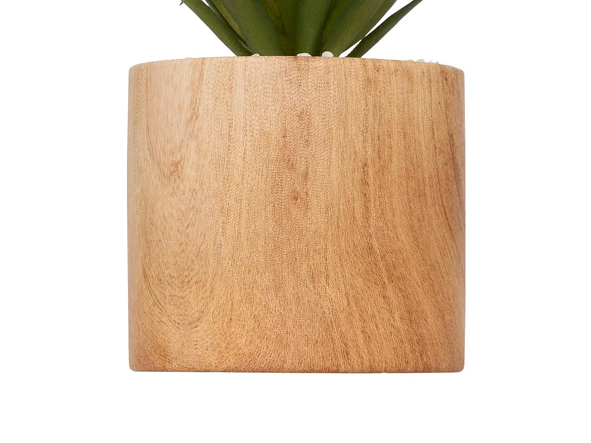 Plante Artificielle en Pot "Sao" 17cm Marron