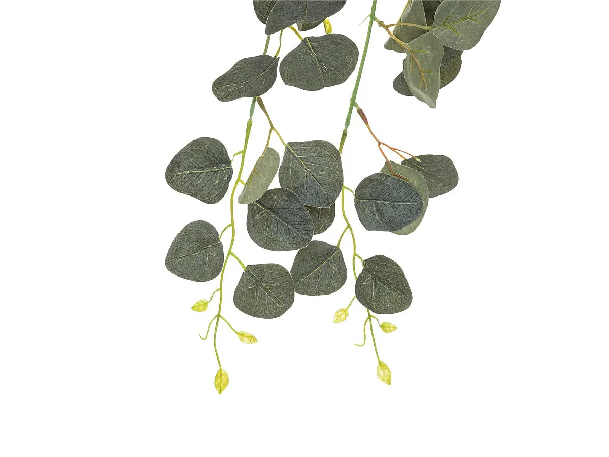 Tige Artificielle Eucalyptus "Drew" 80cm Vert