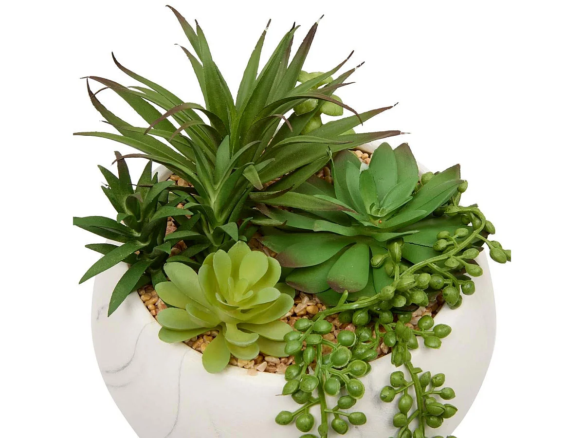 Plante Grasse Artificielle "Jesty" 21cm Multicolore