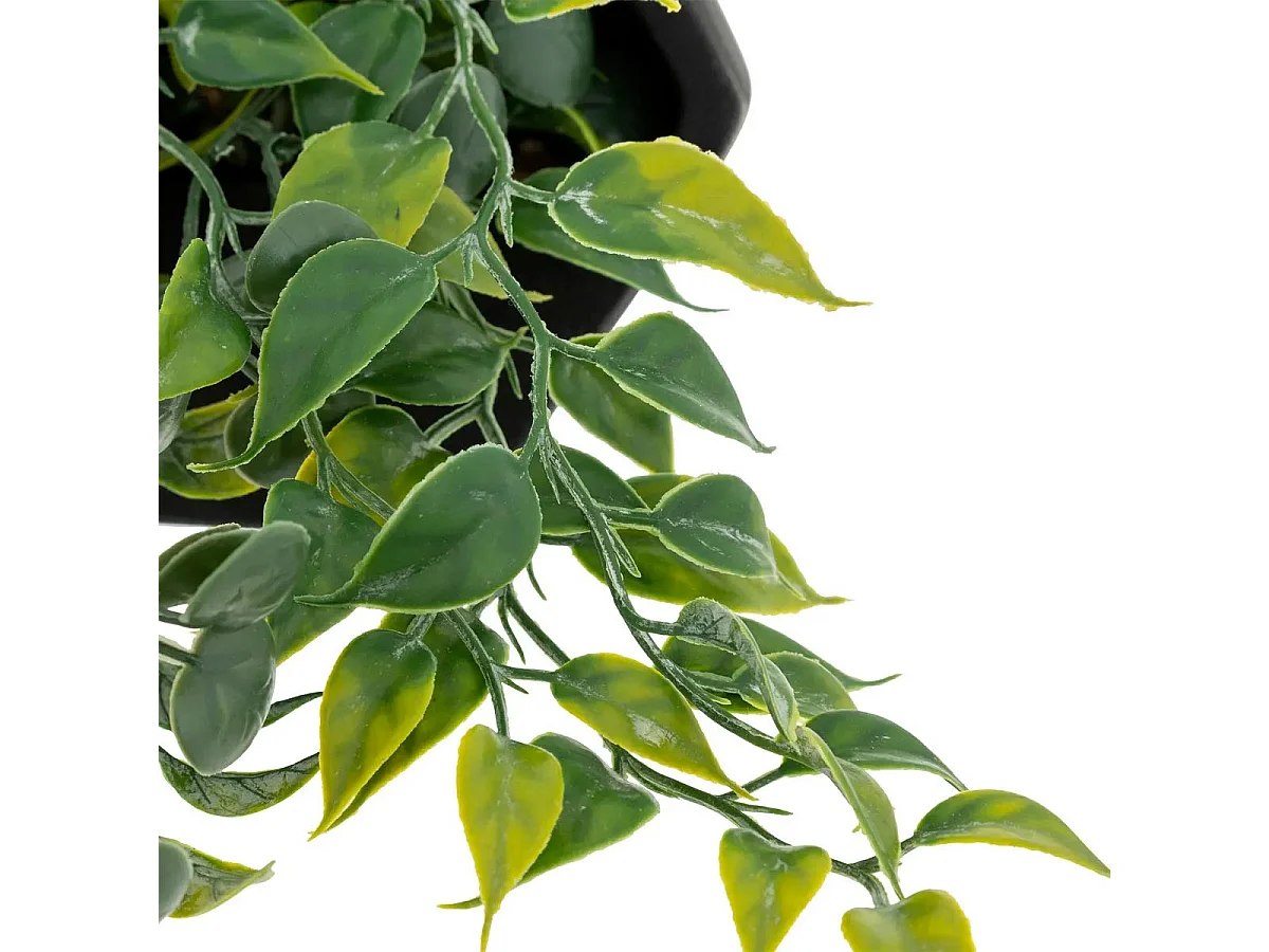 Plante Artificielle à Suspendre "Ayame" 45cm Noir