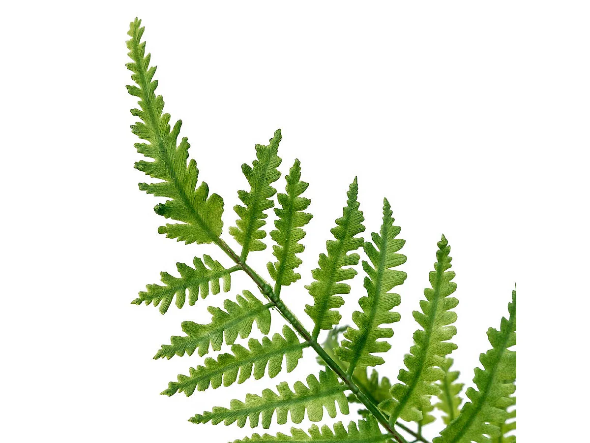 Tige Artificielle Fougère "James" 90cm Vert