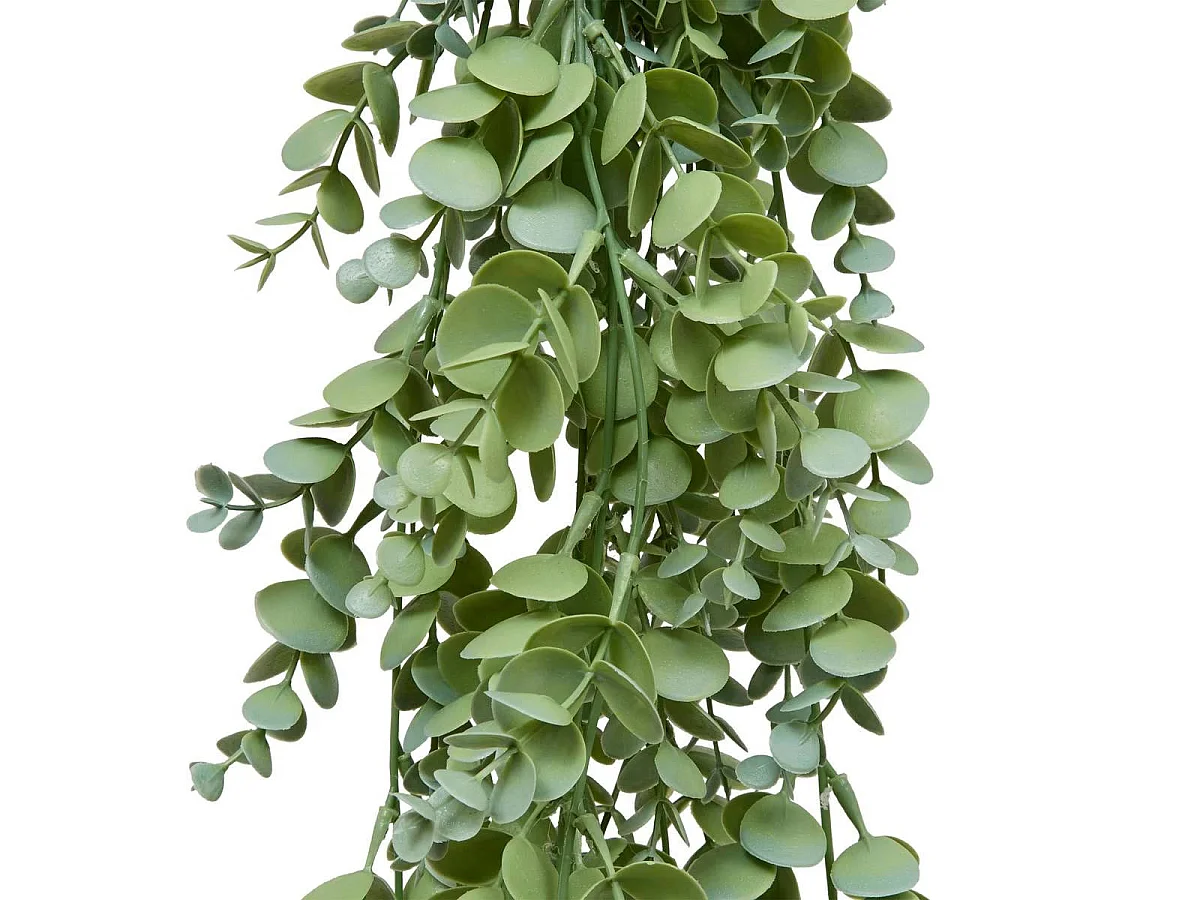 Eucalyptus Artificiel Tombant "James" 80cm Vert