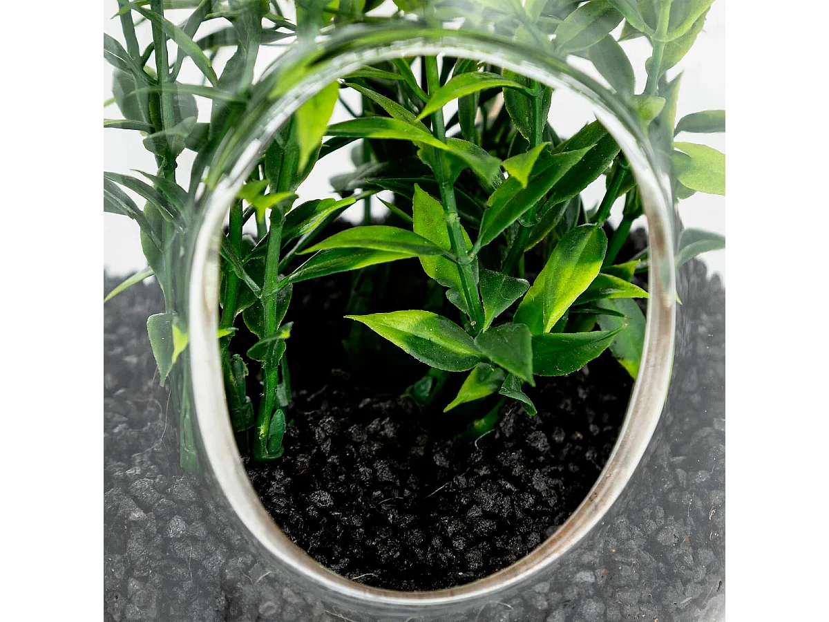 Terrarium à Suspendre "Naly" 15cm Vert