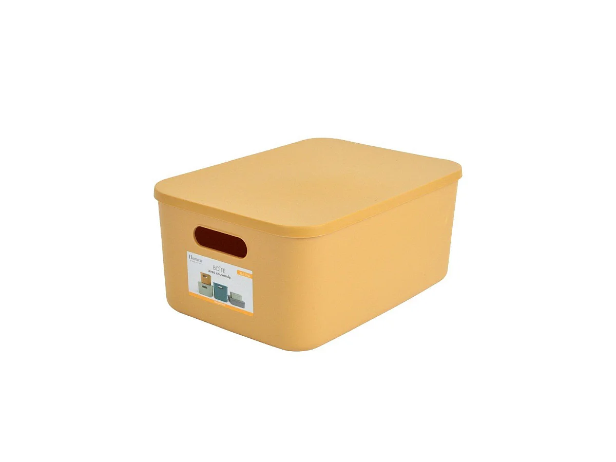Boîte de Rangement Avec Couvercle "Iris" 10,5L Ocre