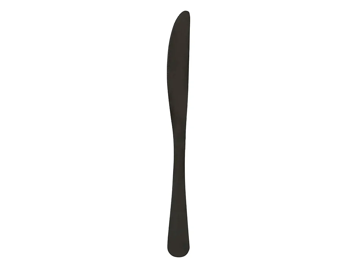 Lot de 2 Couteaux en Inox "Shadow" 22cm Noir