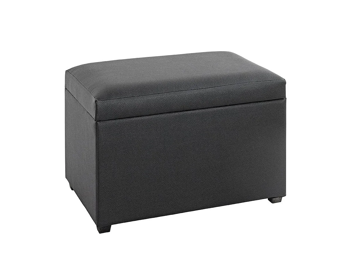 Banc Coffre de Rangement "Timmy" 58cm Noir