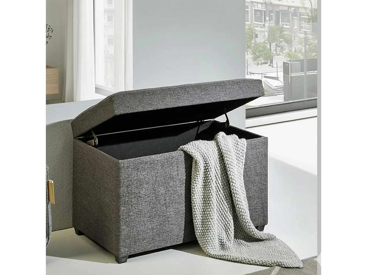 Banc Coffre de Rangement "Timmy" 58cm Anthracite