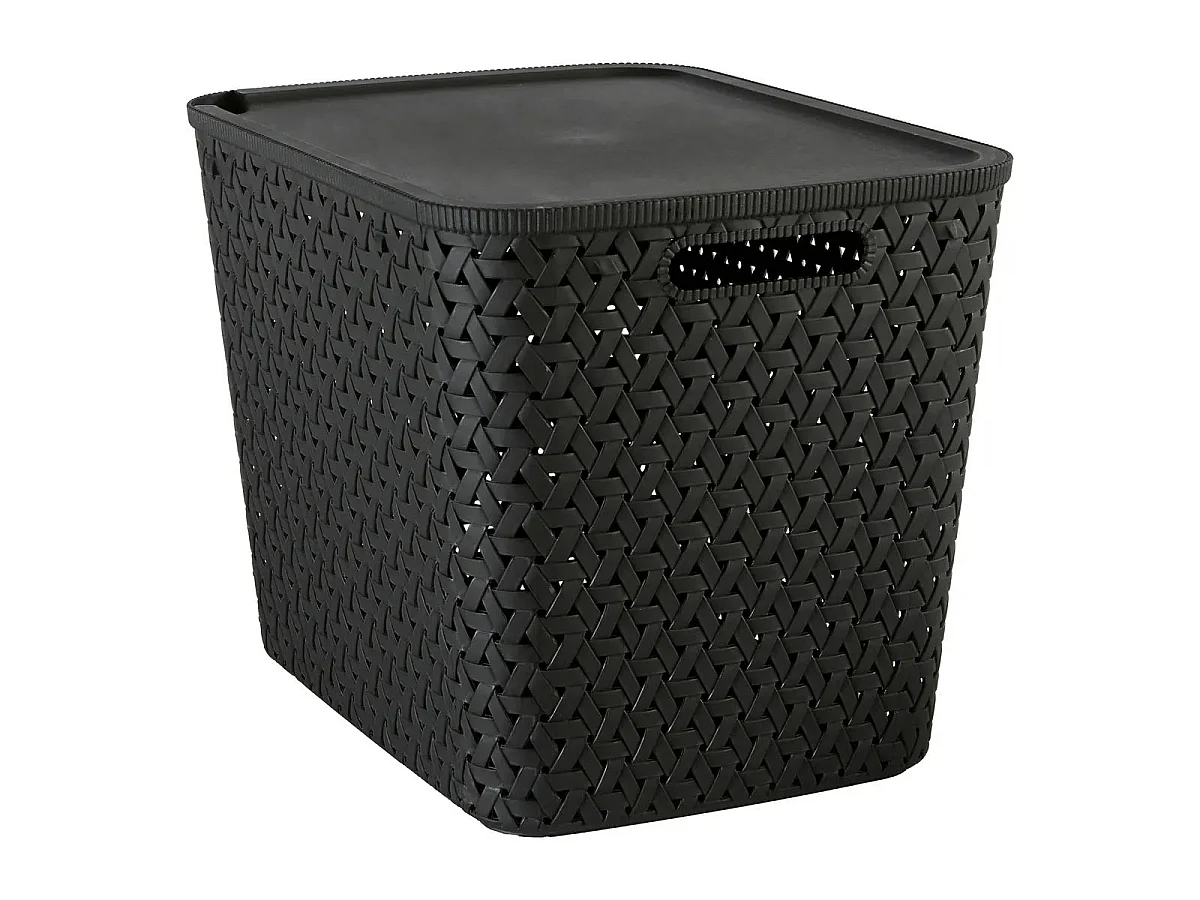 Boîte de Rangement Tressée "Tressy" 28L Noir