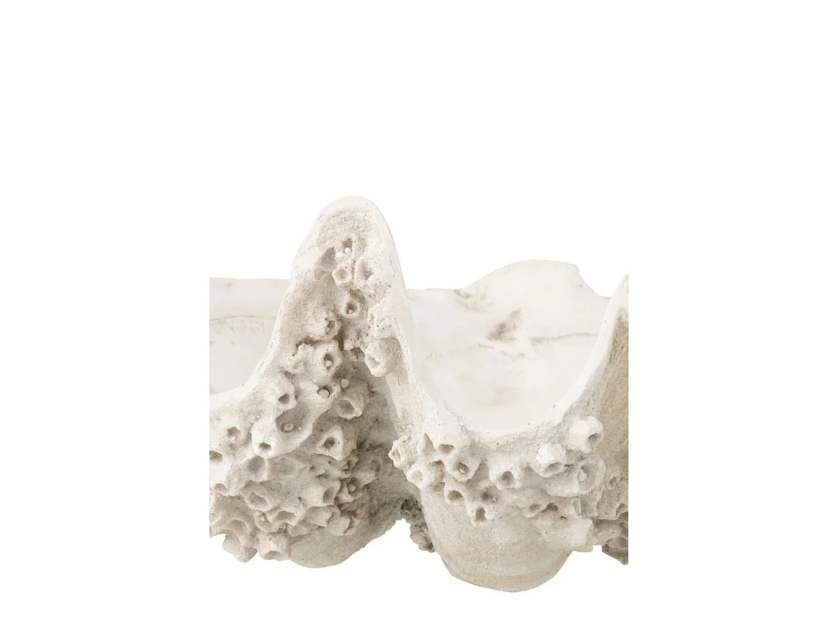 Coupelle Déco "Coquillage" 52cm Blanc Cassé