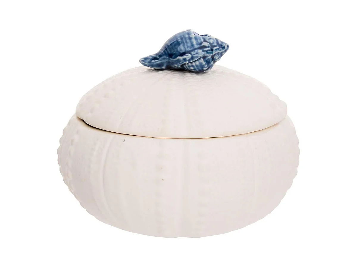 Bougie Parfumée Design Coquillage "Ocea" 170g Ylang