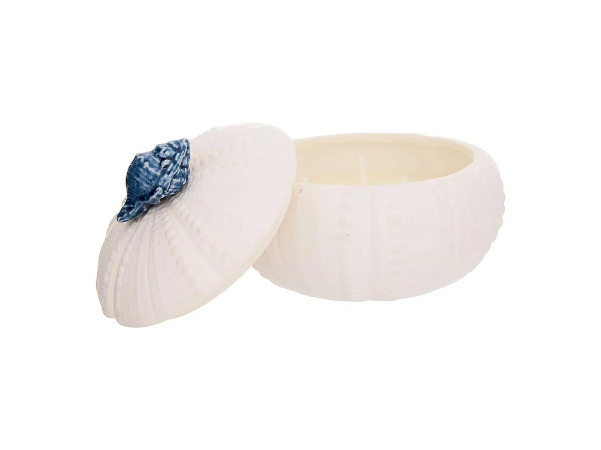 Bougie Parfumée Design Coquillage "Ocea" 170g Ylang