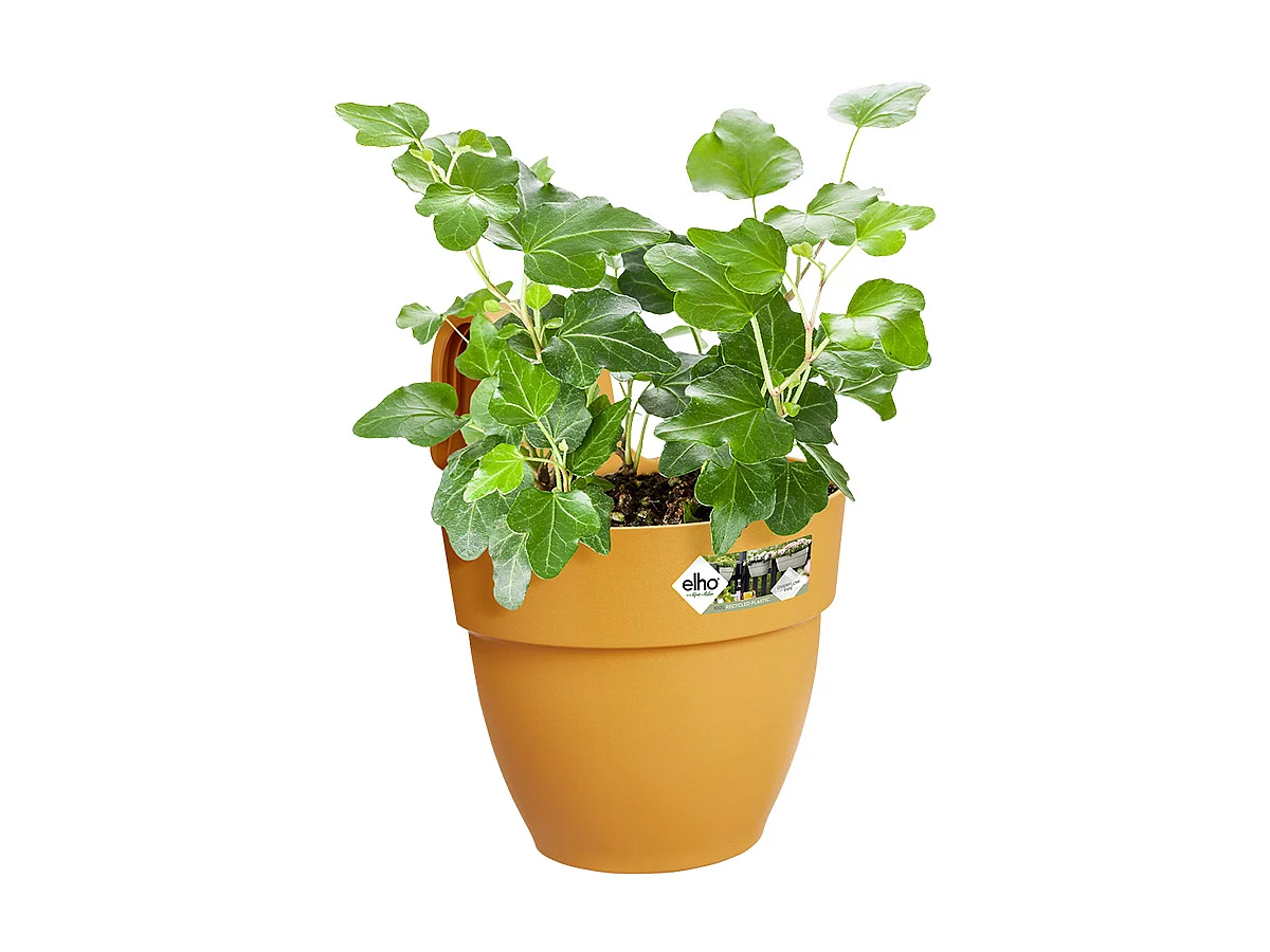 Balconnière en plastique Elho Vibia Campana Easy Hanger Small jaune miel - Ø 24 cm