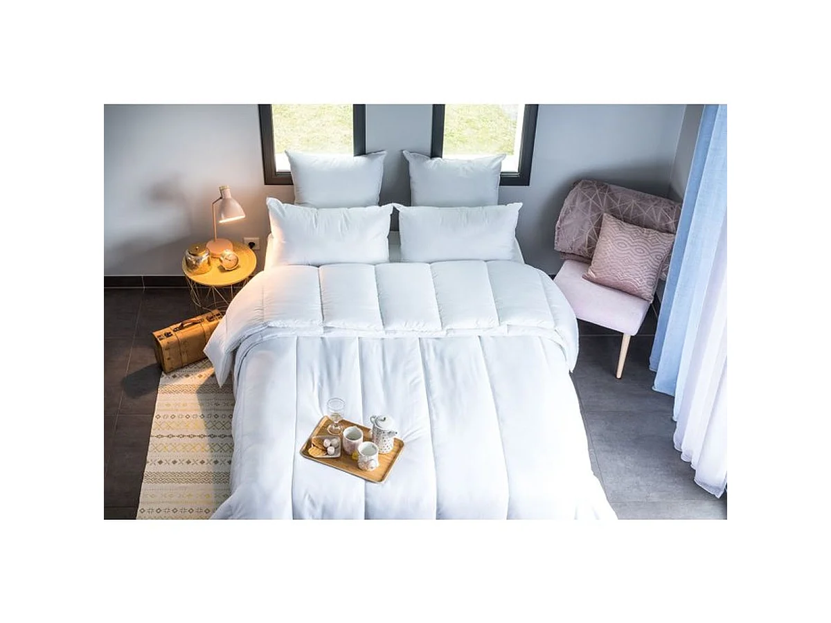 BLANRÊVE 4 Seasons 140x200 cm Dekbed - 420 g/m² Microvezel Polyester Hoes - OEKO-TEX Gecertificeerd