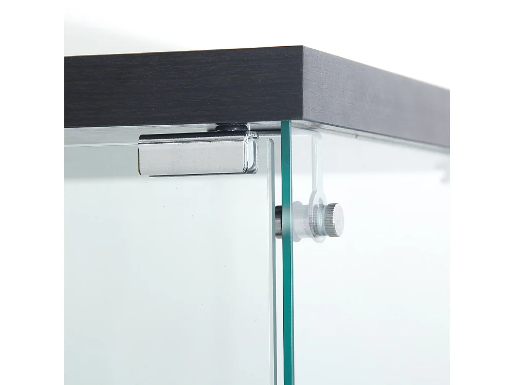 Cabinet d'affichage transparent - Rack de stockage avec lumières LED - 4 couches 2 portes - Verre trempé - noir