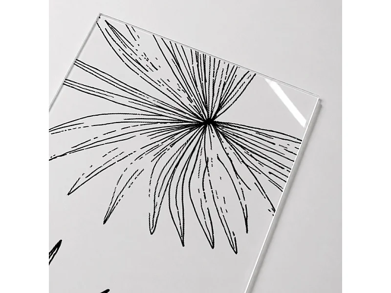 Verrière atelier intérieure aluminium noir 6 vitrages 201 x 117 cm - Décor végétal - Lamnar Noir - noir et transparent - Verre trempé
