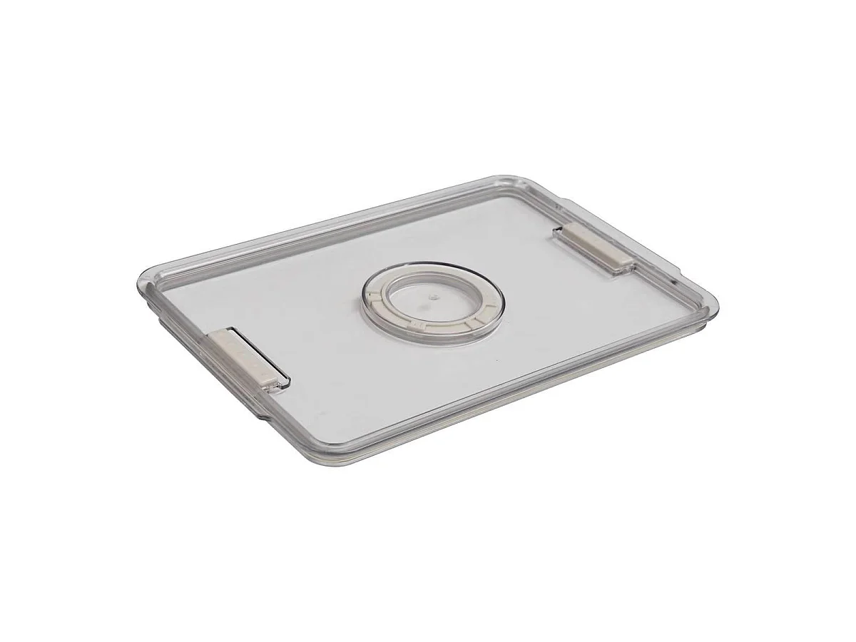 Bac de Rangement Frigo Dateur "Streaks" 18x26cm Transparent