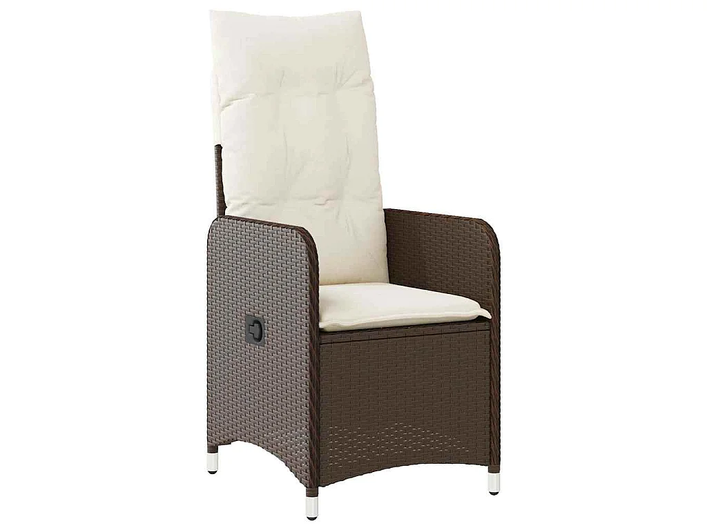 Ensemble de bistro de jardin 9 pièces coussins marron poly rotin