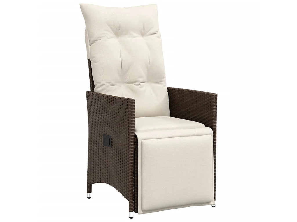 Ensemble de bistro de jardin 9 pièces coussins marron poly rotin