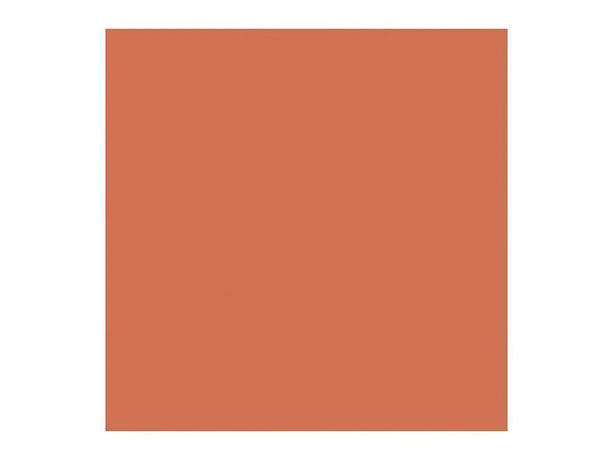 Ripolin DIP étanch® 4 L Dak Waterdichte Coating - Terracotta Matte Afwerking