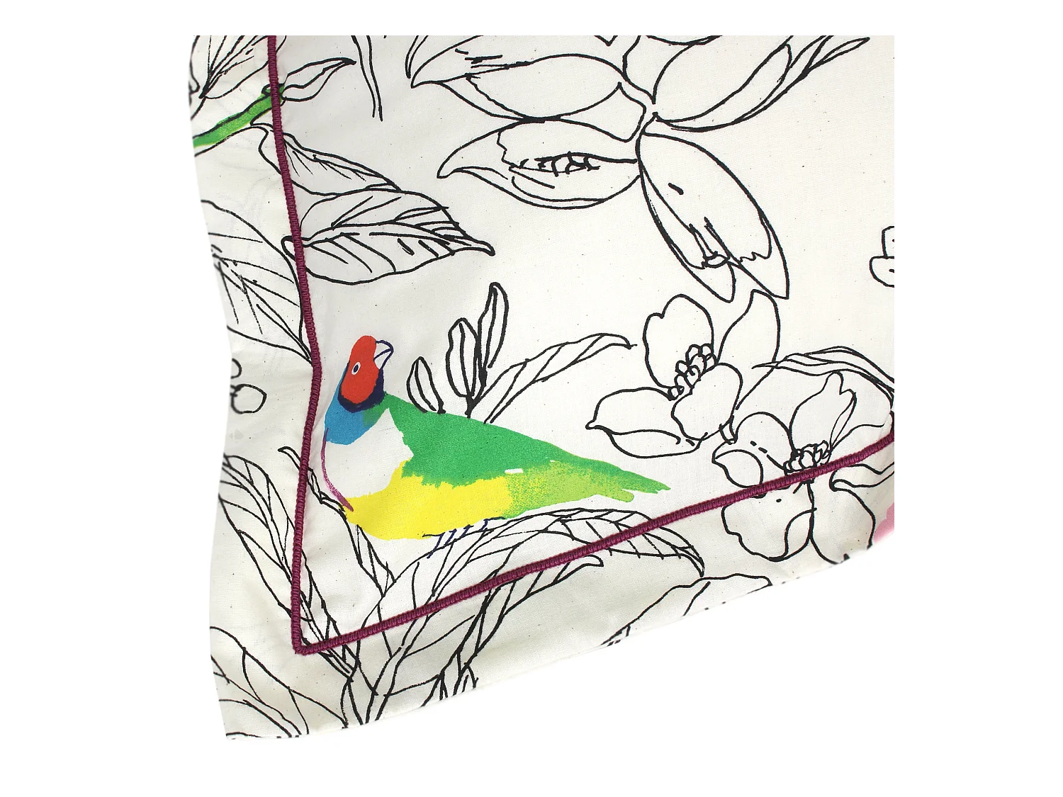 Taie d'oreiller 50x70 cm coton AMAZONIA ecru