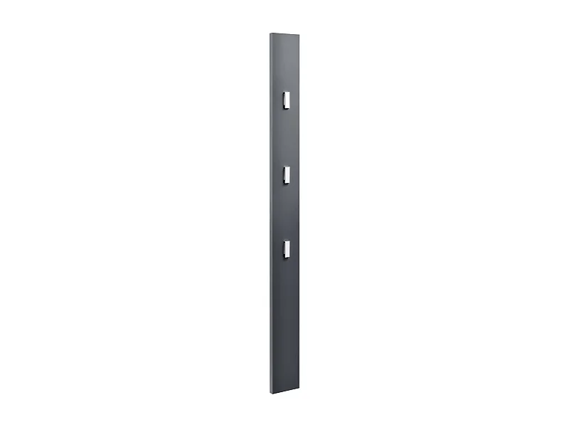 Perchero armario pared ganchos para ropa panel de pared 170 cm gris 03_0002144