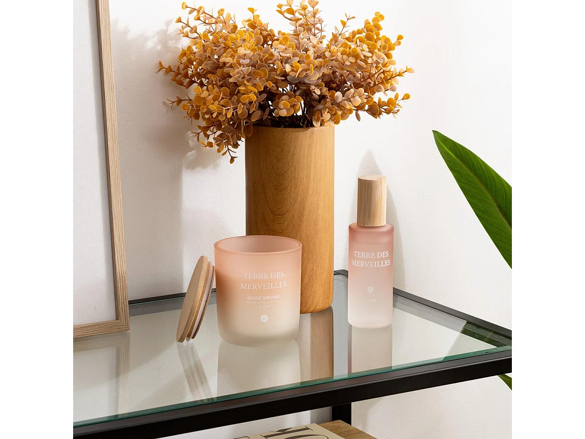 Bougie Parfumée en Verre "Sana" 255g Terre des Merveilles