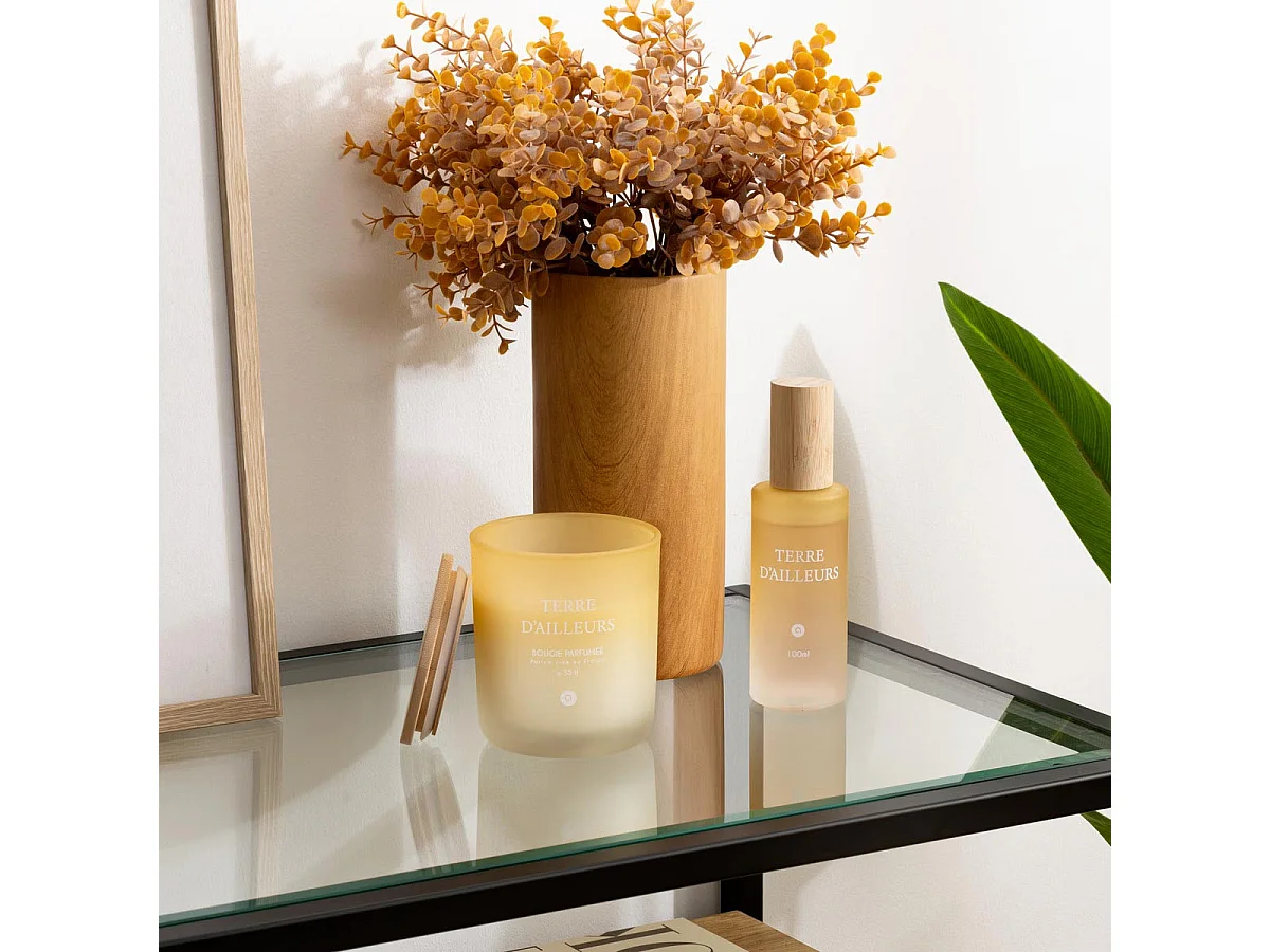 Bougie Parfumée en Verre "Sana" 255g Terre d'Ailleurs
