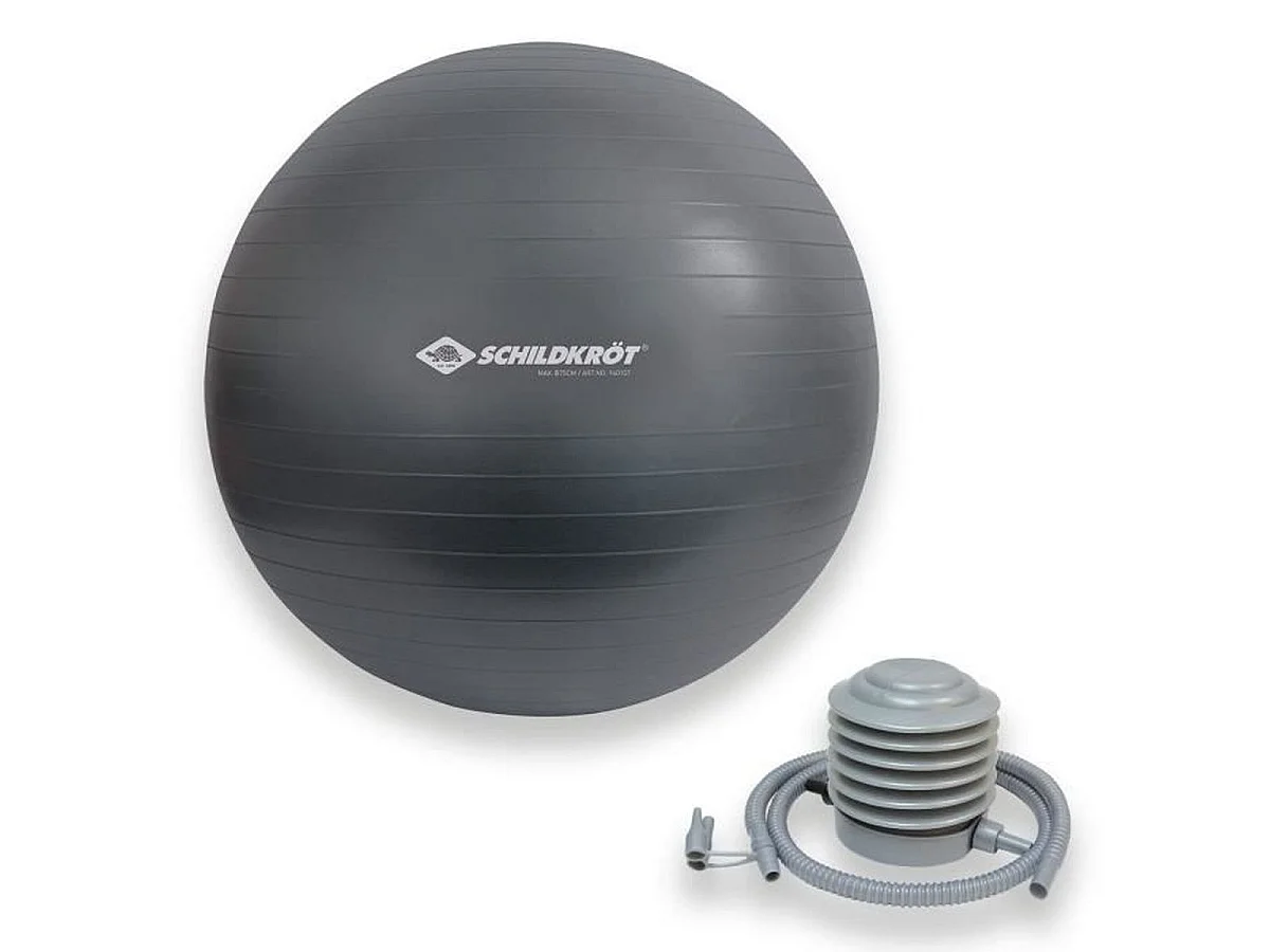 SCHILDKRÖT Swiss Ball 75 cm Anti-Esplosione con Pompa - Palla da Esercizio in PVC per Fitness, Yoga, Fisioterapia