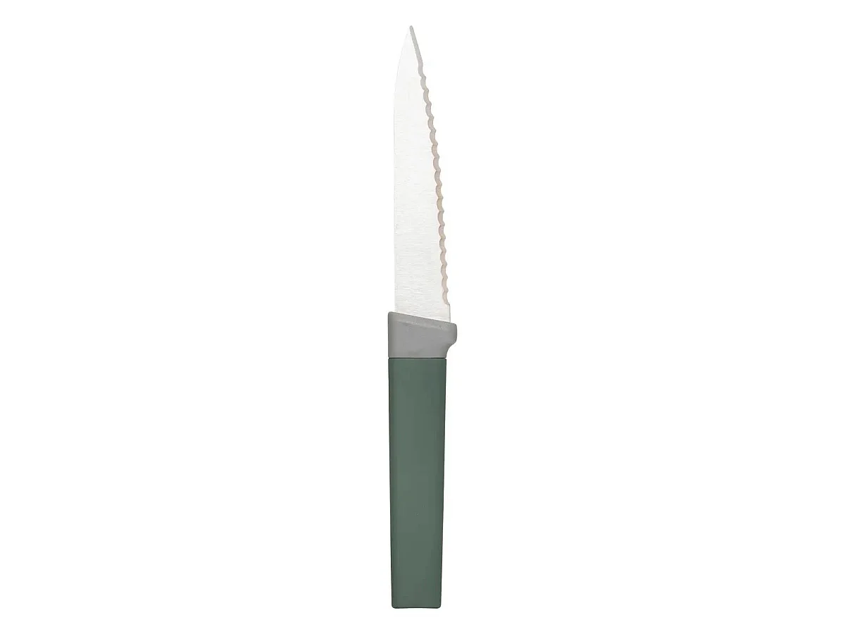 Lot de 4 Couteaux à Steak "Antidérapant" 22cm Multicolore