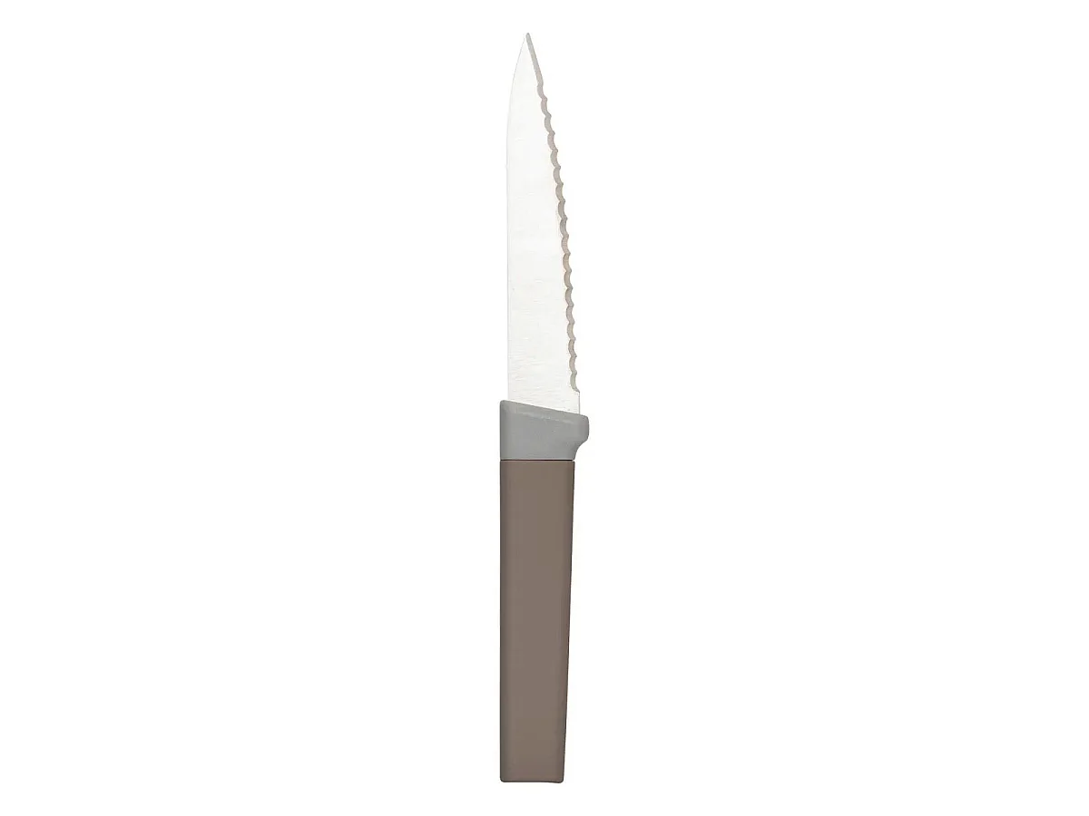 Lot de 4 Couteaux à Steak "Antidérapant" 22cm Multicolore
