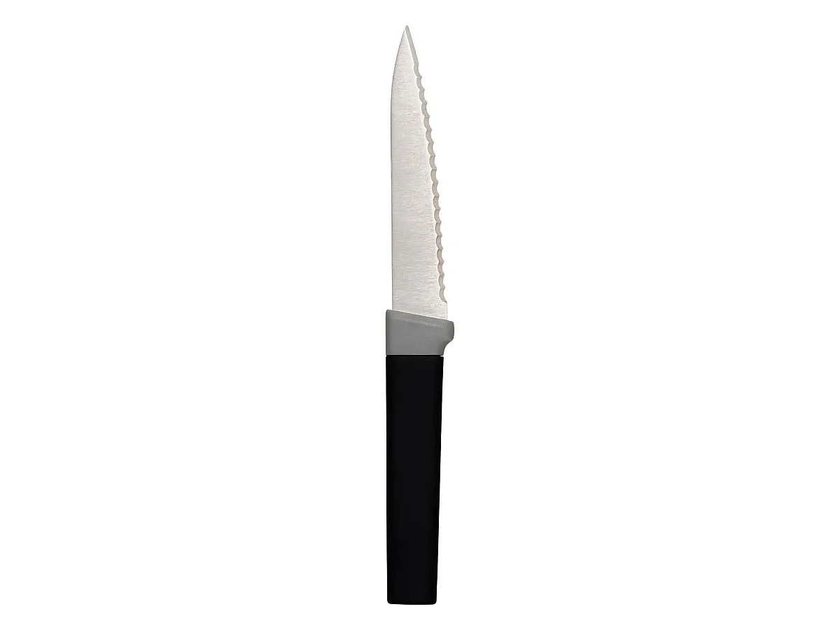 Lot de 4 Couteaux à Steak "Antidérapant" 22cm Multicolore