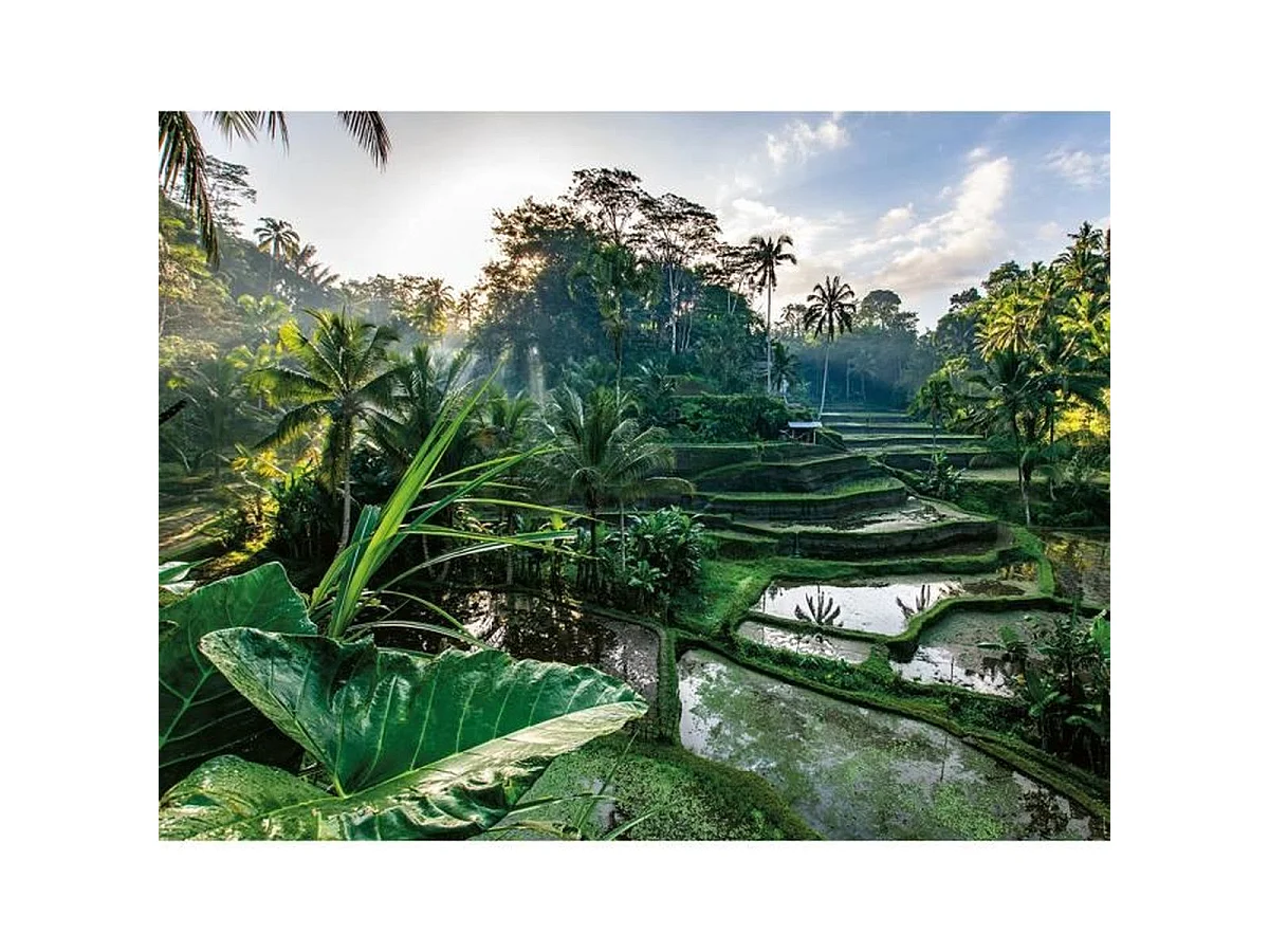 Nathan - Puzzle 2000 pièces "Au cœur de Bali" - 98 x 75 cm