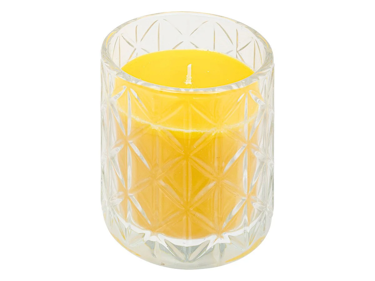 Bougie Parfumée "Any" 90g Citronnelle