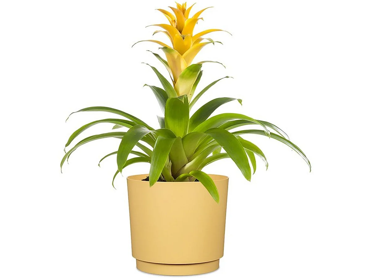 DEROMA Cache-pot rond 236 13 L Ø29 cm - Jaune mat