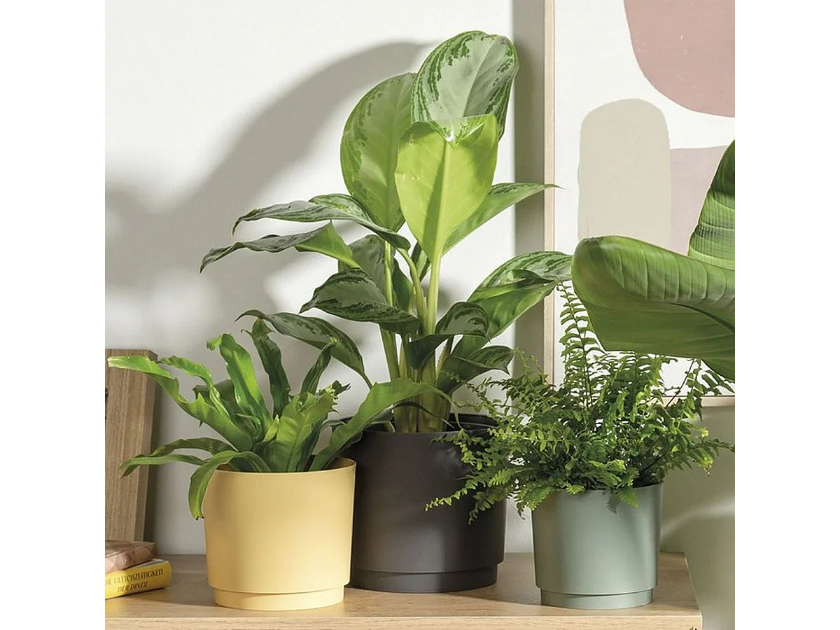 Cache-pot rond DEROMA 236 29 cm mat vert - 13 L