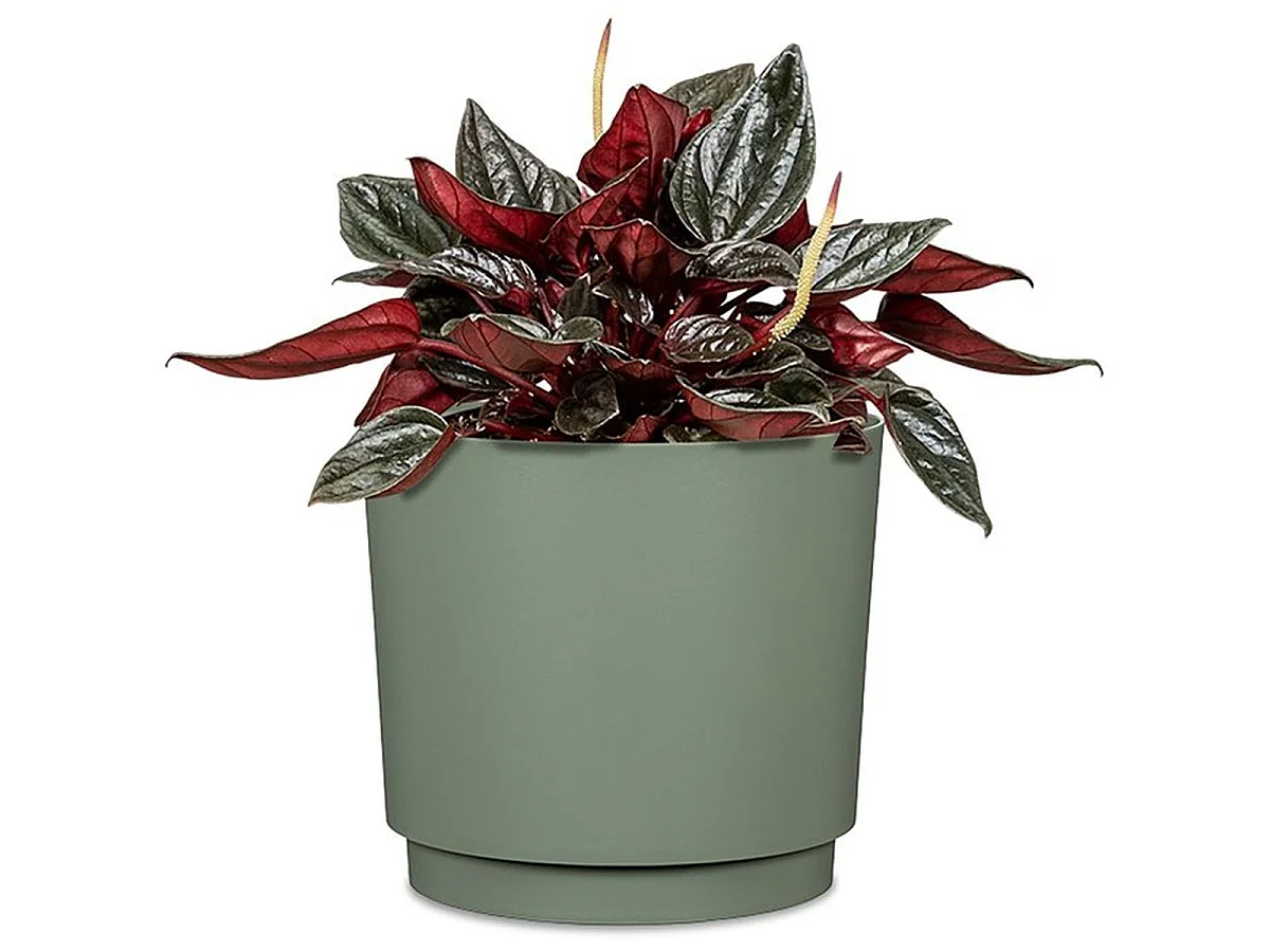Cache-pot rond DEROMA 236 29 cm mat vert - 13 L