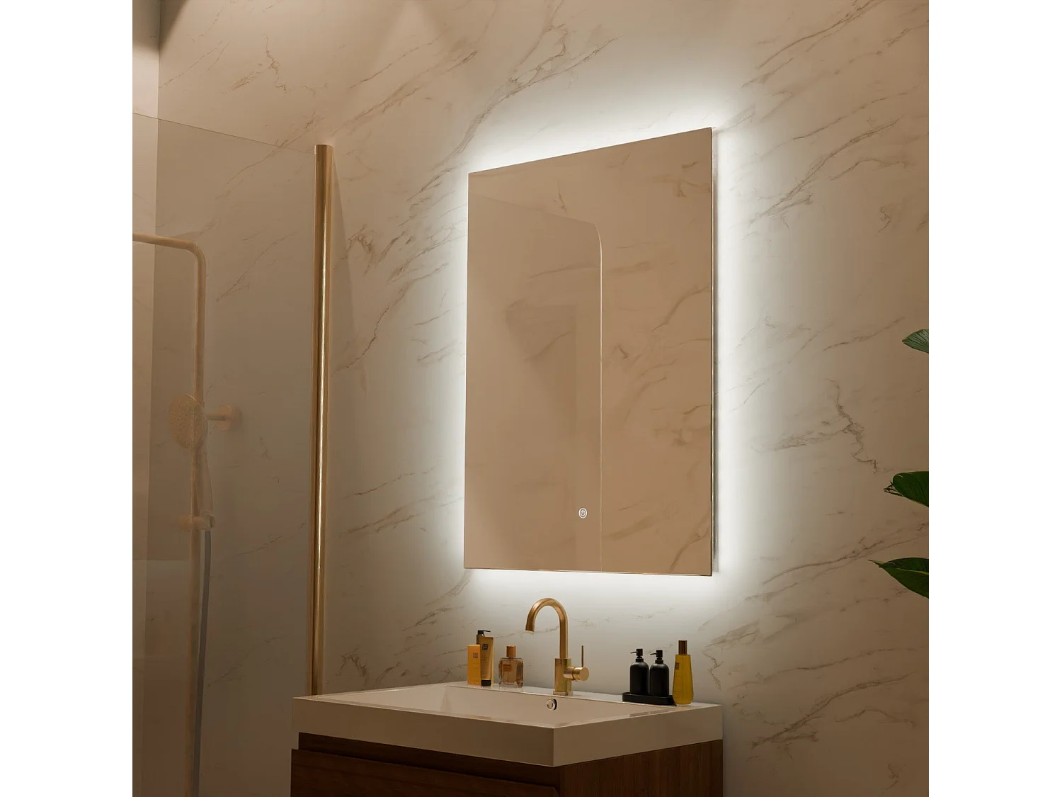 Miroir salle de bain LOMAZOO Cannes avec LED 60 x 80 cm