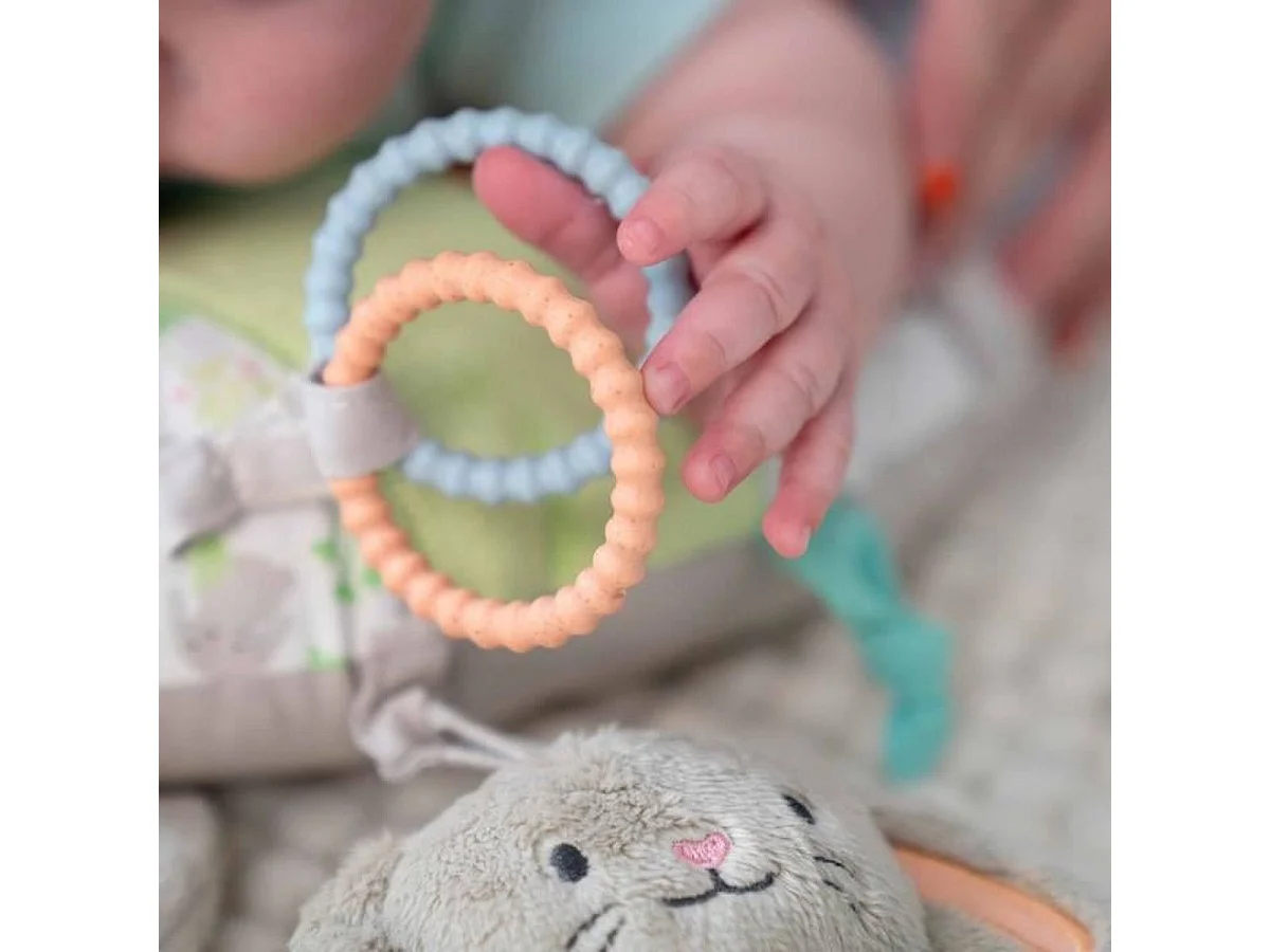 INGENUITY Sylvi Baby Playmat met ondersteuningskussen en 4 sensorische speeltjes
