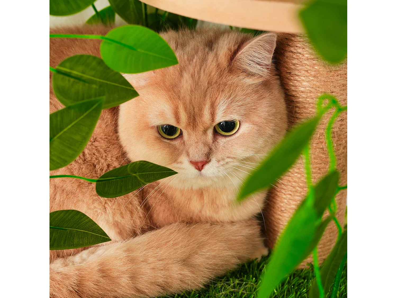 Arbre à chat de 175 cm - Feuilles artificielles amovibles - 2 couchages, 2 plateformes, des griffoirs en sisal et des tapis - Vert
